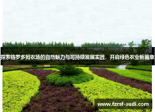 探索格罗多姆农场的自然魅力与可持续发展实践，开启绿色农业新篇章